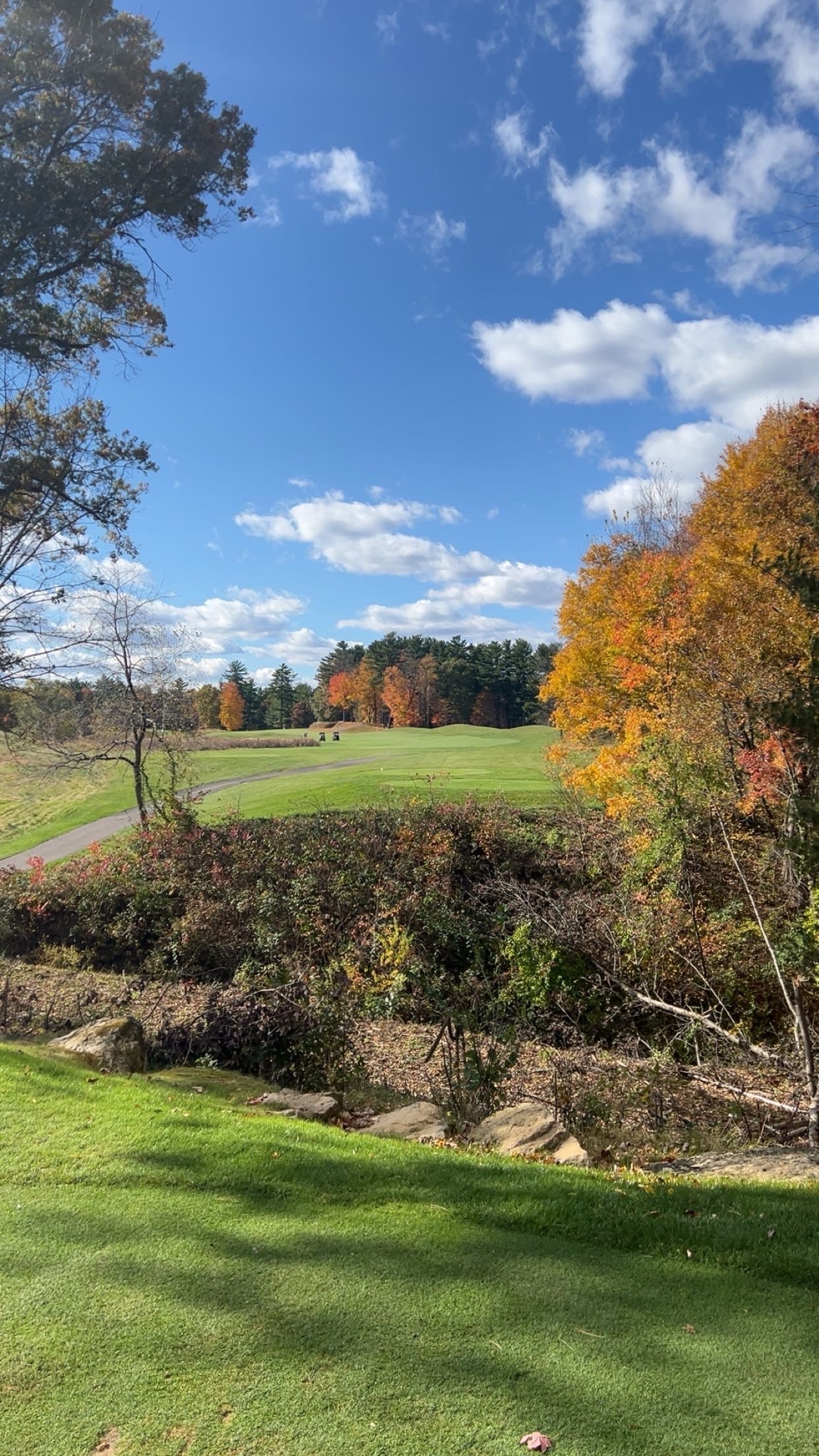 Golf course with autumn trees and blue sky